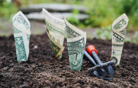 Firmensanierung und Insolvenzberatung mit Rechtsanwalt Firmensanierung und Insolvenzberatung mit Rechtsanwalt